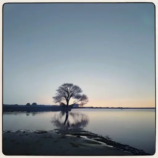 Атмосфера спокойного присутствия рядом